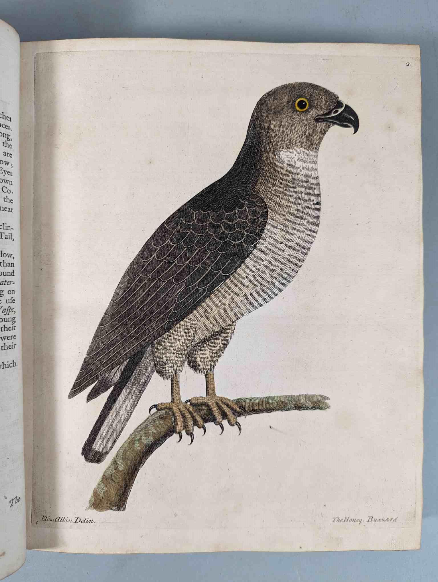 ALBIN, Eleazar. A Natural History of Birds, to which are added, Notes and Observations by W. - Image 9 of 208
