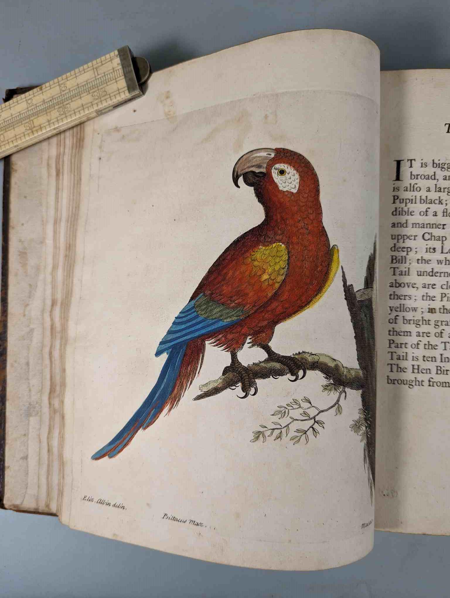 ALBIN, Eleazar. A Natural History of Birds, to which are added, Notes and Observations by W. - Image 14 of 208