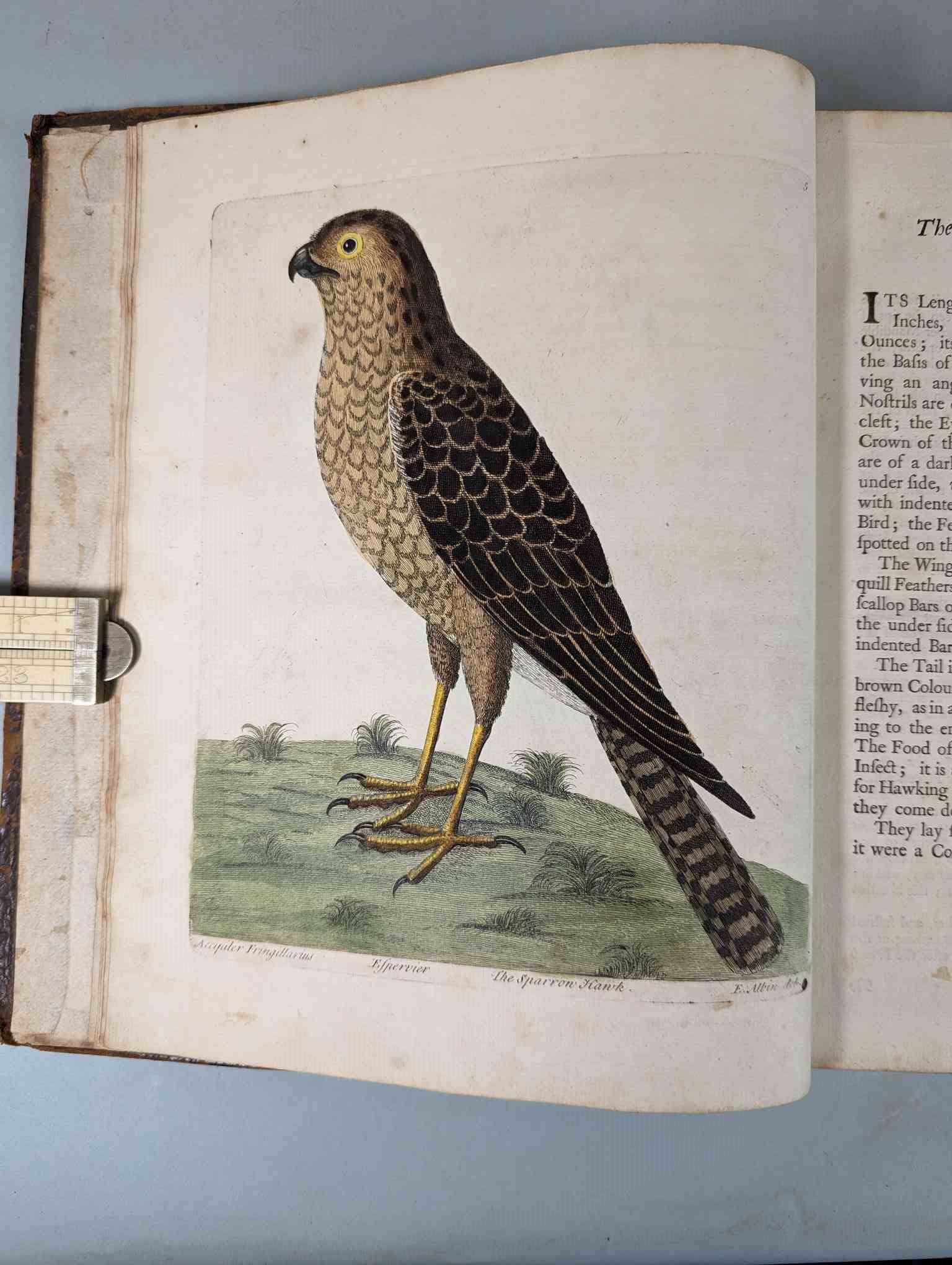 ALBIN, Eleazar. A Natural History of Birds, to which are added, Notes and Observations by W. - Image 4 of 208