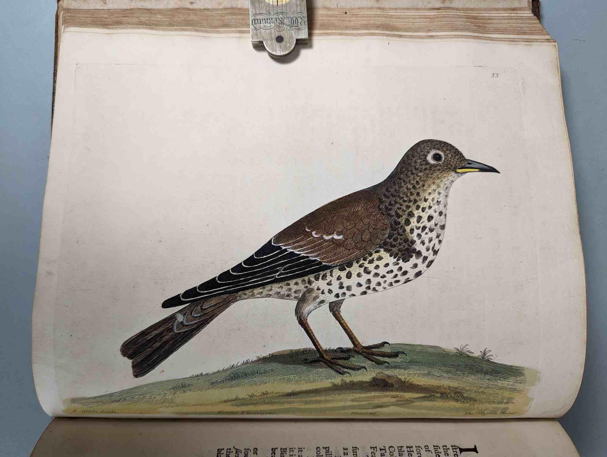 ALBIN, Eleazar. A Natural History of Birds, to which are added, Notes and Observations by W. - Image 36 of 208