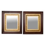 A pair of Edwardian stained wood and partly gilt rectangular mirrors,