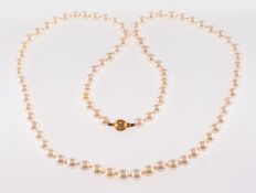A strand of pearls, a cultured pearl nec