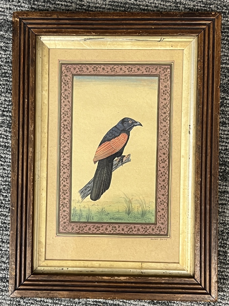 An Indian Miniature Painting of Bird. Ca. 19th Century.A framed and glazed painting depicting a