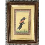 An Indian Miniature Painting of Bird. Ca. 19th Century.A framed and glazed painting depicting a