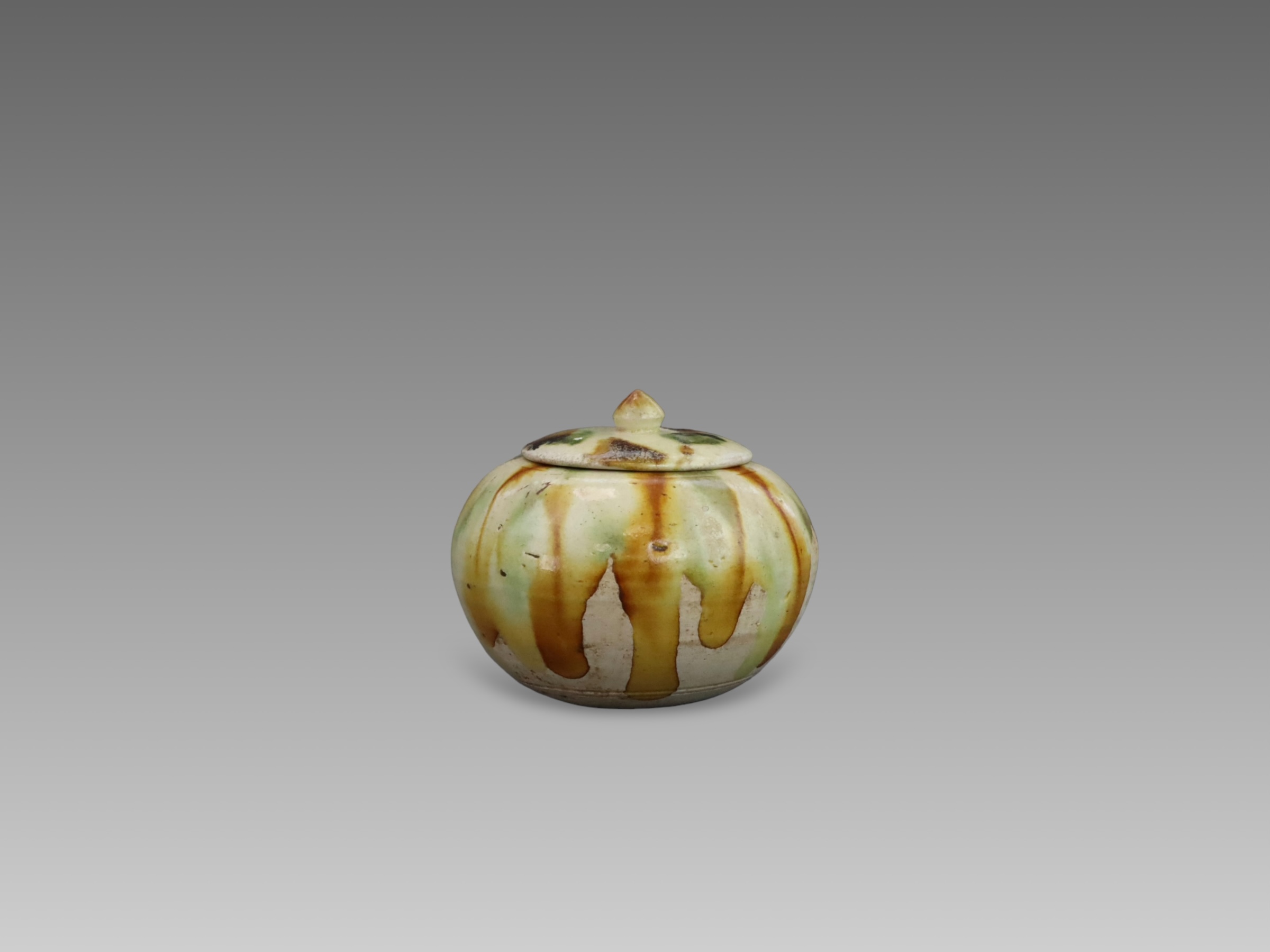 A Sancai-glazed Pottery Waterpot and Cover, Tang dynasty,