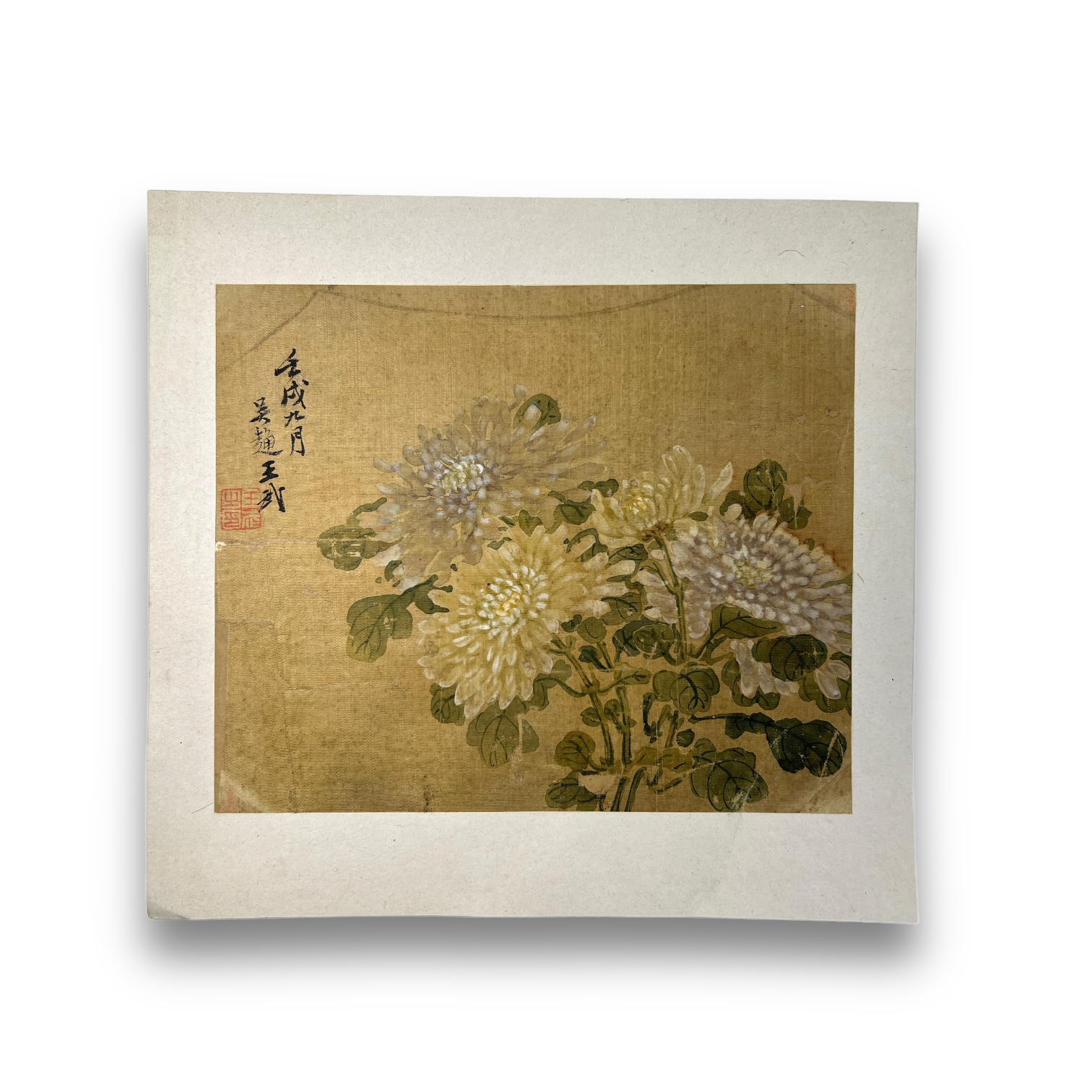 An Album Leaf on silk of chrysanthemums