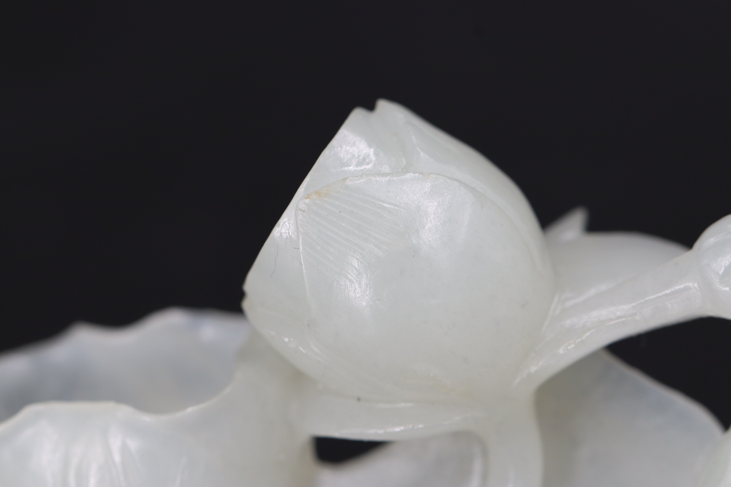 A White Jade Lotus Flower and Root, Qing dynasty - Image 12 of 12