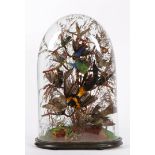 A VICTORIAN TAX DOMED GROUP OF EXOTIC BIRDS, NATURALISTIC BASE, 58CM HIGH.