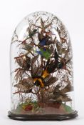 A VICTORIAN TAX DOMED GROUP OF EXOTIC BIRDS, NATURALISTIC BASE, 58CM HIGH.