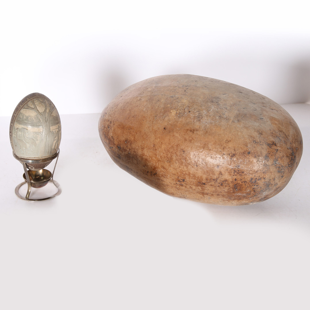 A CARVED EMU EGG AND A SUBSTANTIAL SEED POD. - Image 4 of 4