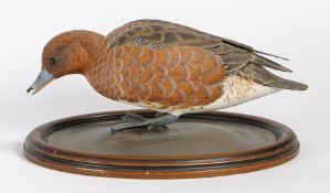 A FINE QUALITY 20TH CENTURY CARVED AND PAINTED WOODEN SCULPTURE OF A WIDGEON.