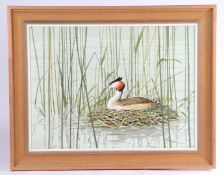 PETER MERRIN (BRITISH, 20TH CENTURY) GREBE NESTING.