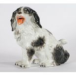 A MEISSEN STYLE PORCELAIN MODEL OF A BLACK AND WHITE KING CHARLES SPANIEL.