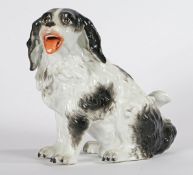 A MEISSEN STYLE PORCELAIN MODEL OF A BLACK AND WHITE KING CHARLES SPANIEL.