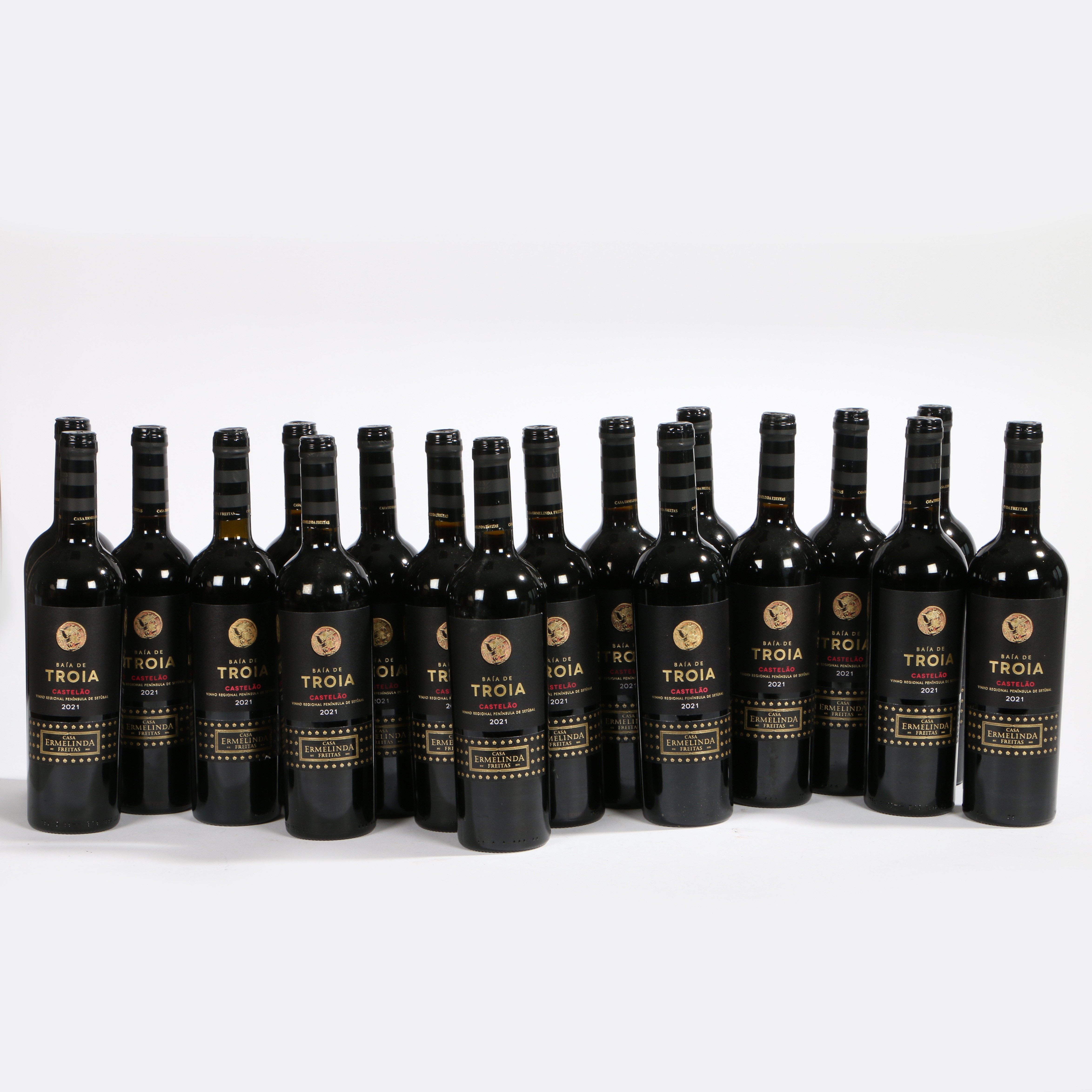 2021 - BAIA DE TROIA CASTELAO, 750ML 18 BOTTLES (18).