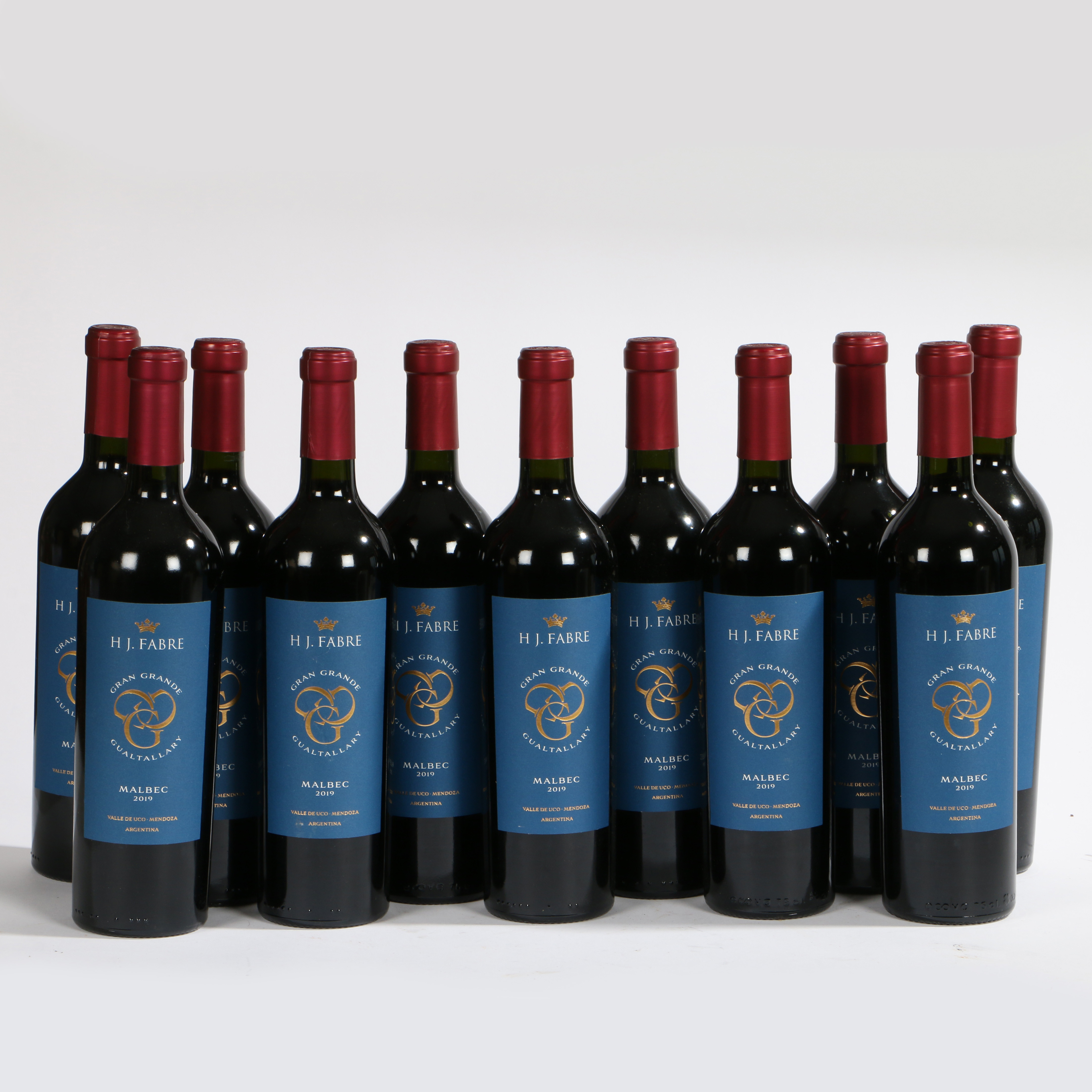 2019 - H J FABRE GRAN GRANDE GUALTALLARY MALBEC,750ML 11 BOTTLES (11).