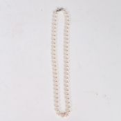 A SINGLE STRAND PEARL NECKLACE.