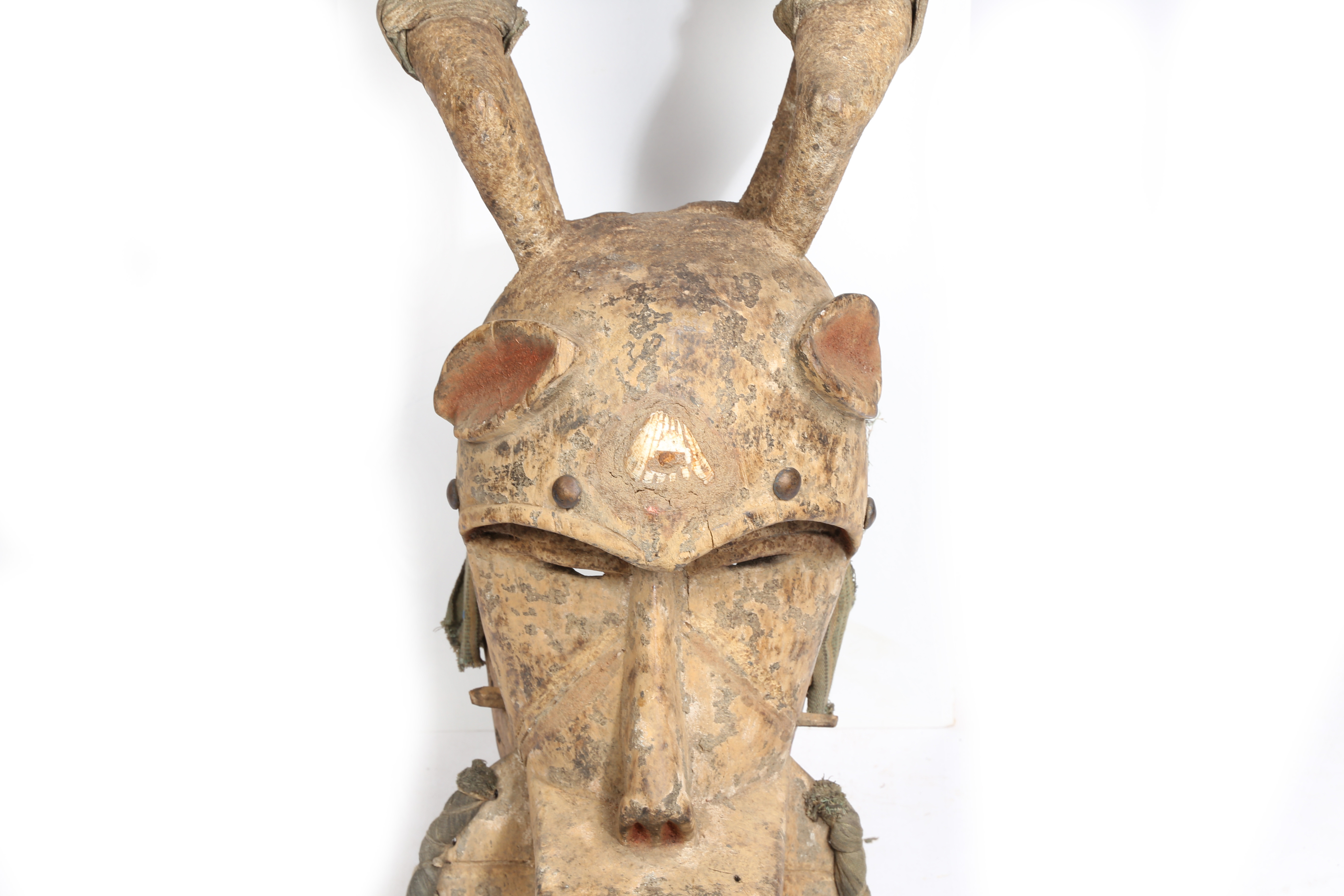 A LARGE BAULE ZOOMORPHIC MASK, IVORY COAST/COTE D'IVOIRE. - Image 5 of 7