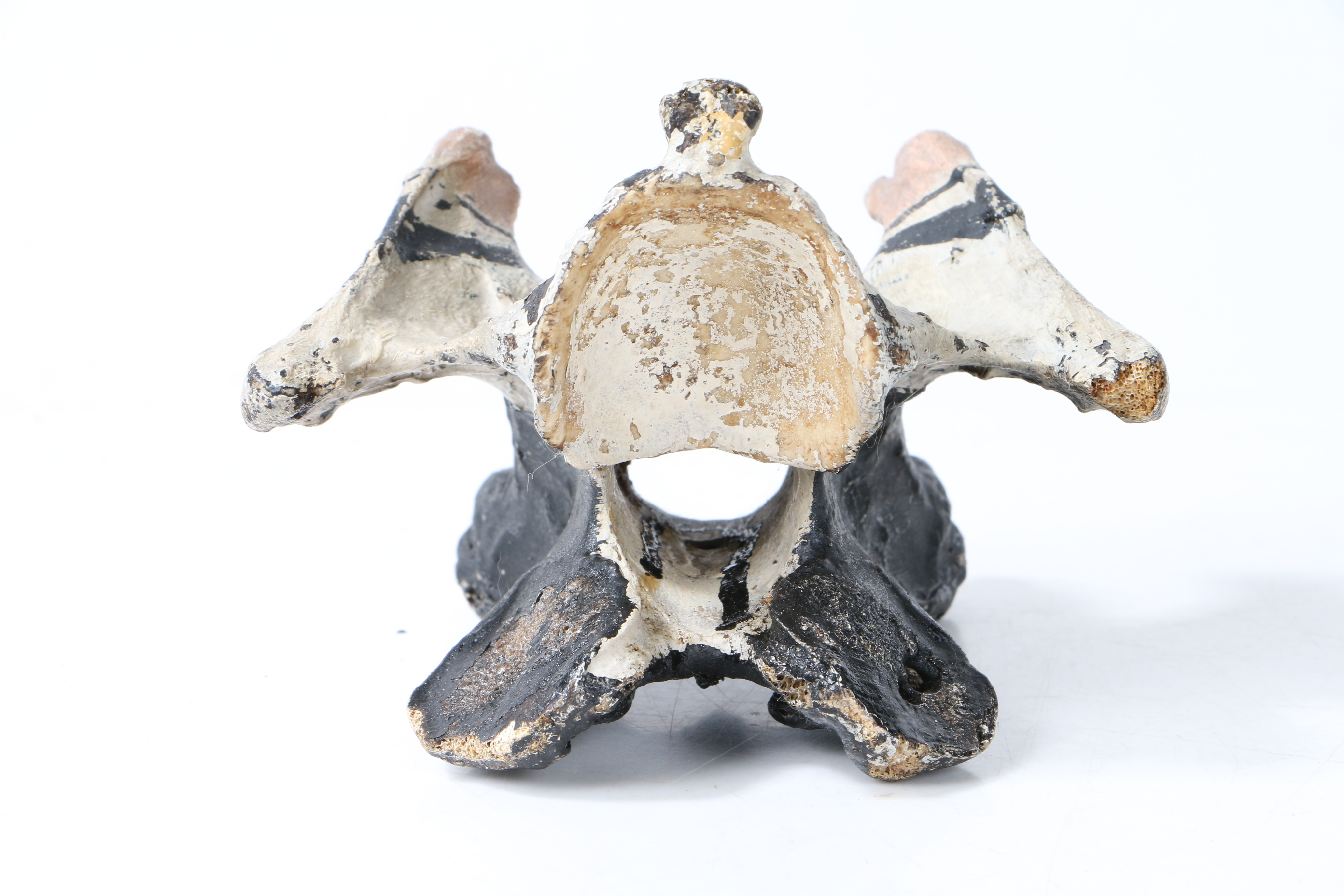 A UNUSUAL 19TH CENTURY PAINTED WHALE VERTEBRAE IN THE FORM OF JOHN WESLEY. - Image 7 of 7