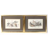 A SET OF FIVE 19TH CENTURY HAND COLOURED ENGRAVINGS OF EXOTIC ANIMALS FOR JAMES STEWARTS BOOK OF NAT