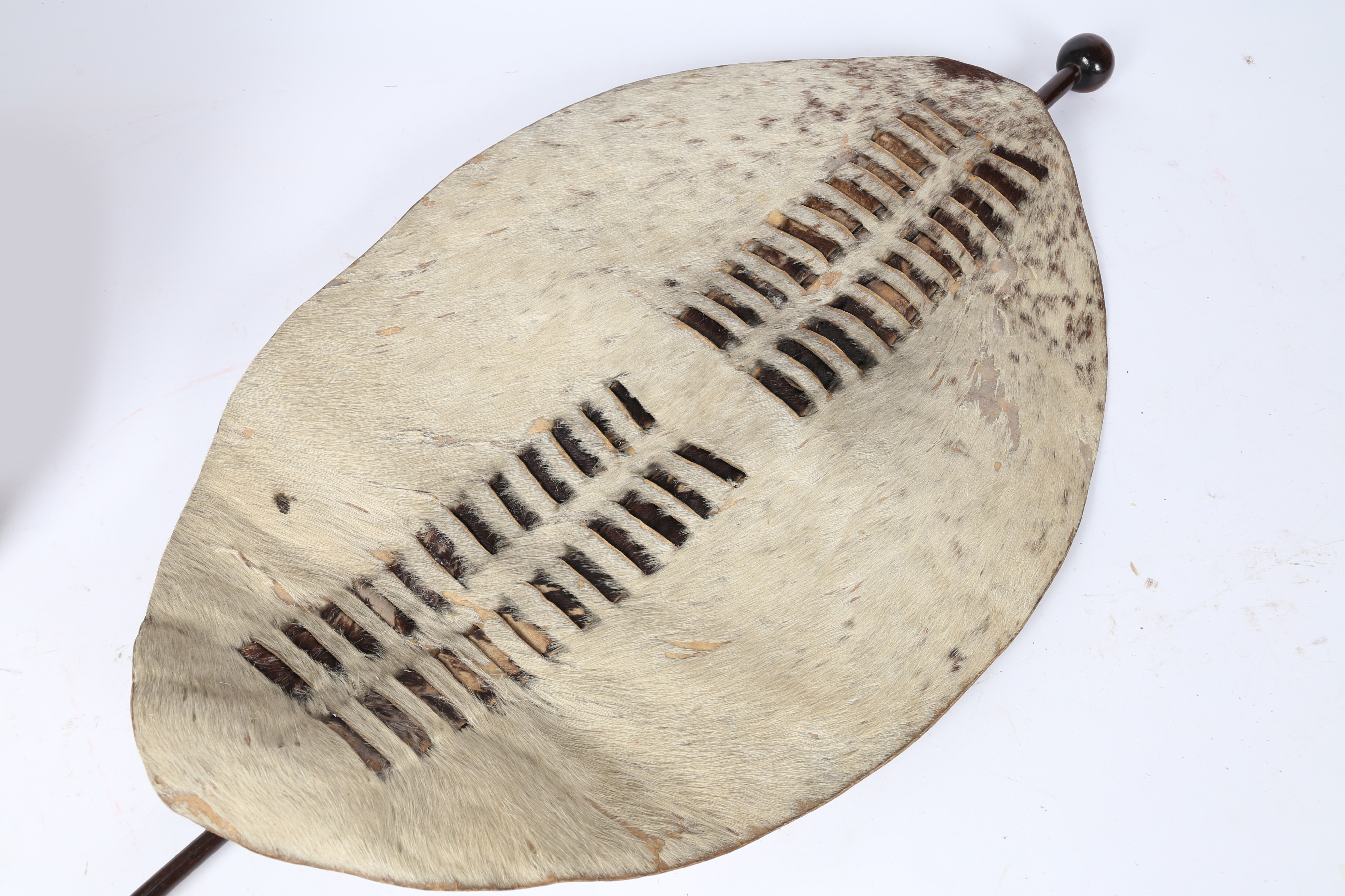 A ZULU UMBHUMBHULOSU WARIORS HIDE SHIELD, SOUTH AFRICA. - Image 2 of 5