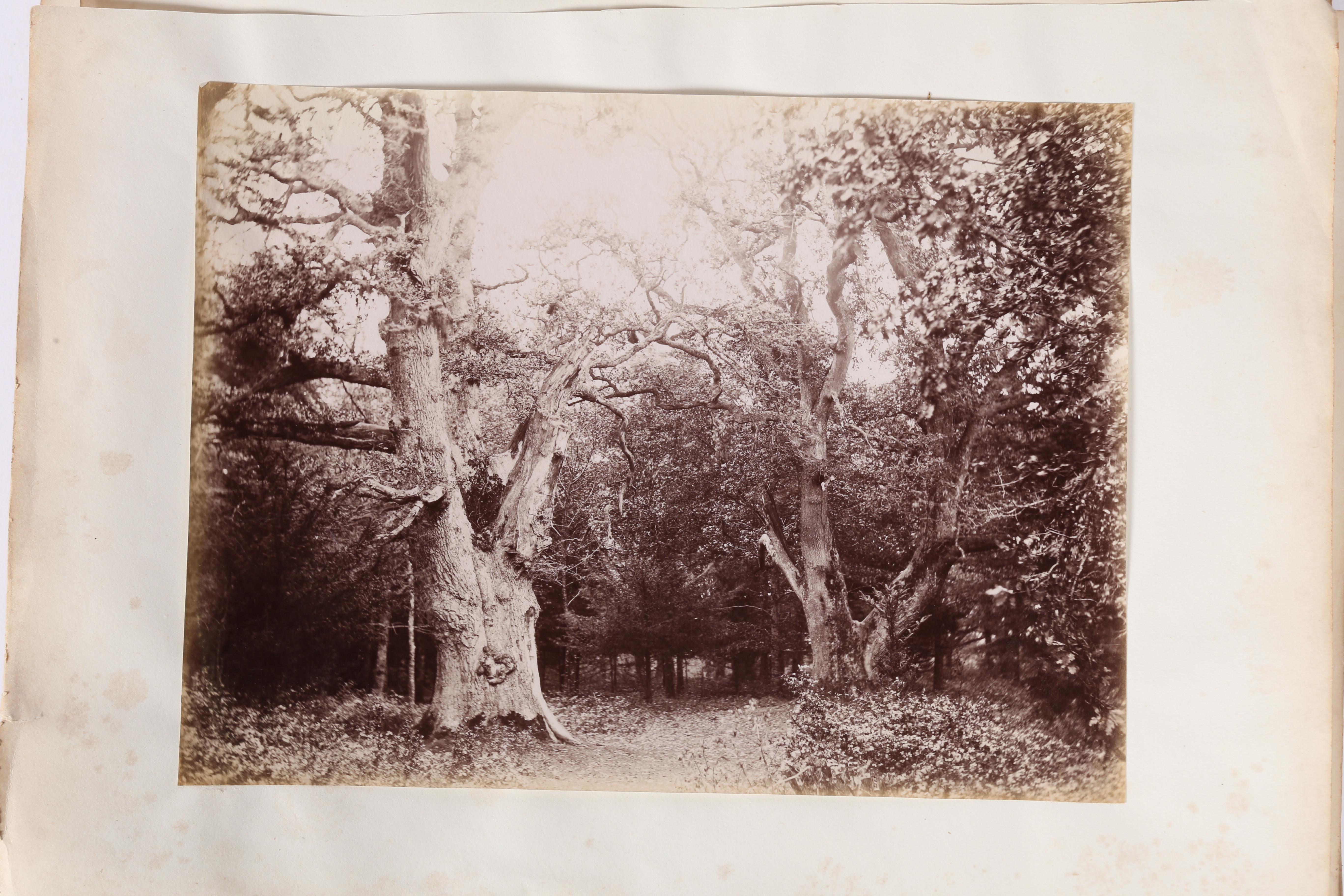 VICTORIAN PHOTOGRAPH ALBUM BELONGING TO GENERAL SIR HARRY JONES GCB DCL, AND HIS WIFE LADY CHARLOTTE - Image 39 of 60