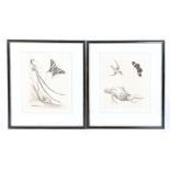 AFTER GEORGE EDWARDS (BRITISH 1694-1773), SET OF SIX HAND COLOURED ORNITHOLOGICAL ENGRAVINGS (6).