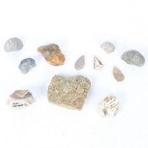 A COLLECTION OF NEOLITHIC FLINTS AND FOSSILS (QTY).