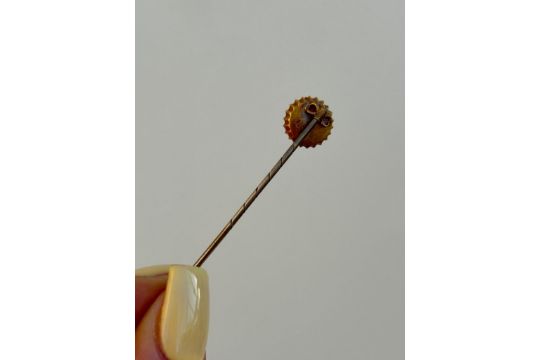 Antique Boxed Turquoise and Pearl Stick Pin Brooch in Gold - Image 7 of 7