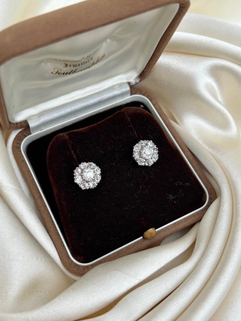 Amazing 2.75ct Diamond Cluster Stud Earrings in White Gold in Box - Image 4 of 9