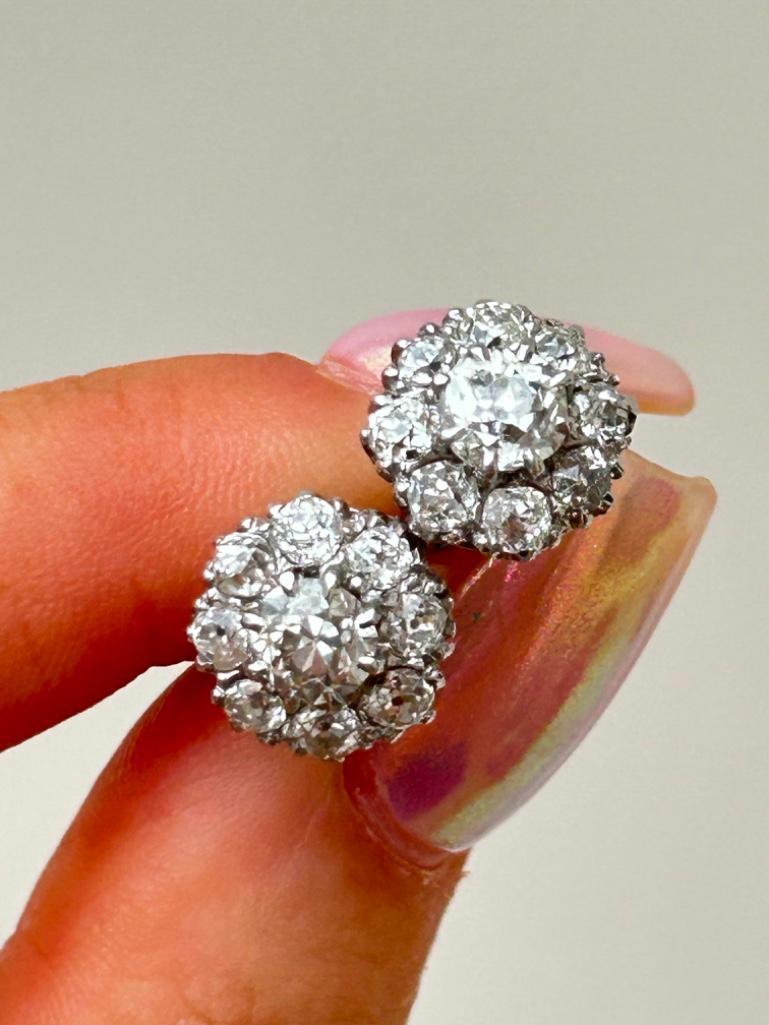 Amazing 2.75ct Diamond Cluster Stud Earrings in White Gold in Box - Image 9 of 9