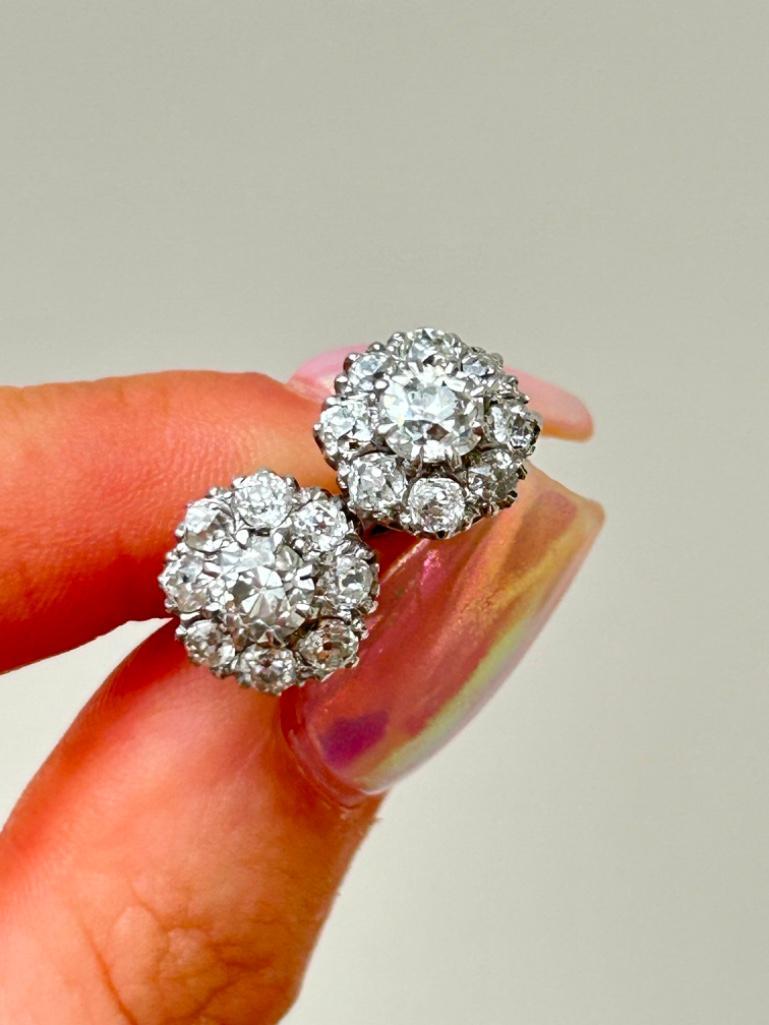 Amazing 2.75ct Diamond Cluster Stud Earrings in White Gold in Box - Image 5 of 9