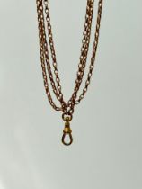 Antique Longguard Chain Necklace with DogClip