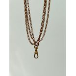 Antique Longguard Chain Necklace with DogClip