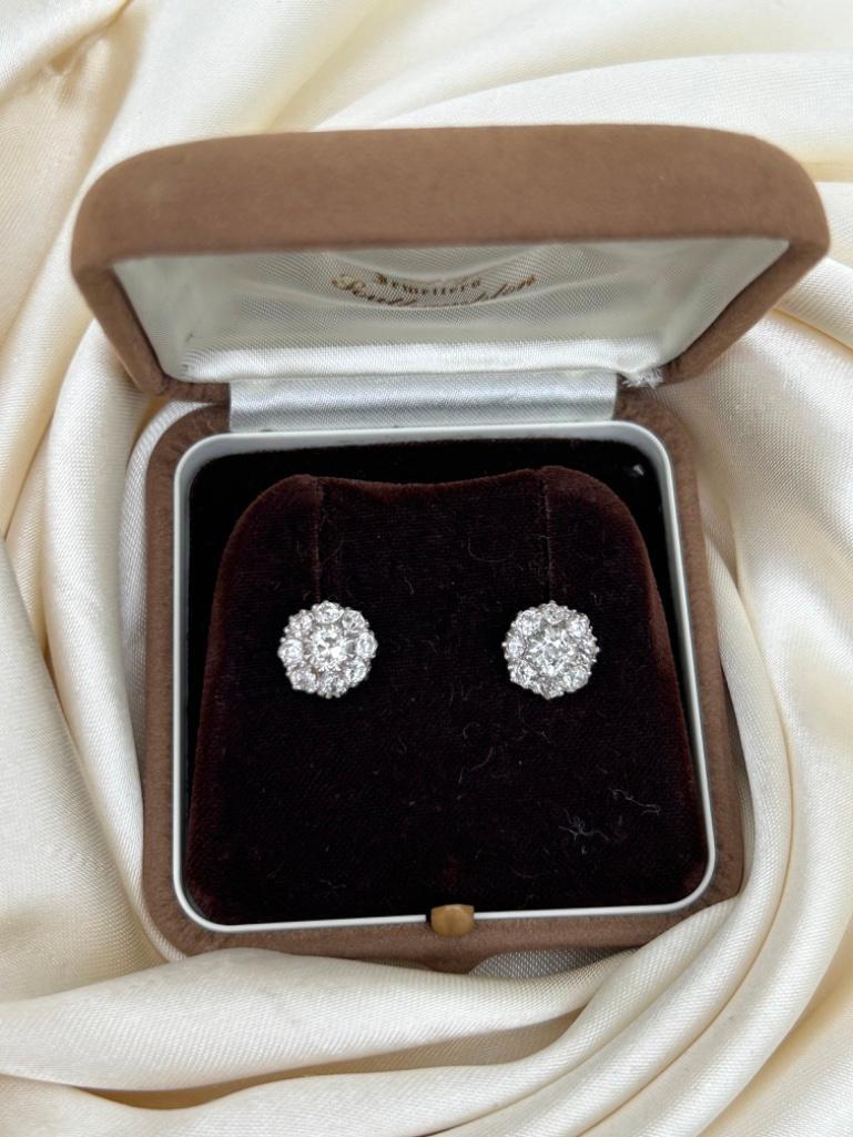 Amazing 2.75ct Diamond Cluster Stud Earrings in White Gold in Box - Image 7 of 9