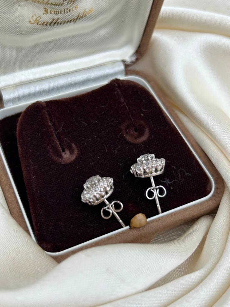 Amazing 2.75ct Diamond Cluster Stud Earrings in White Gold in Box - Image 8 of 9