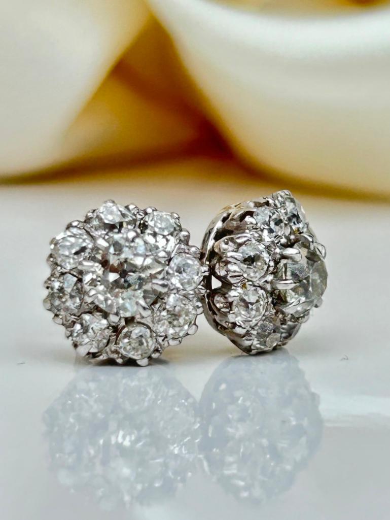 Amazing 2.75ct Diamond Cluster Stud Earrings in White Gold in Box - Image 2 of 9