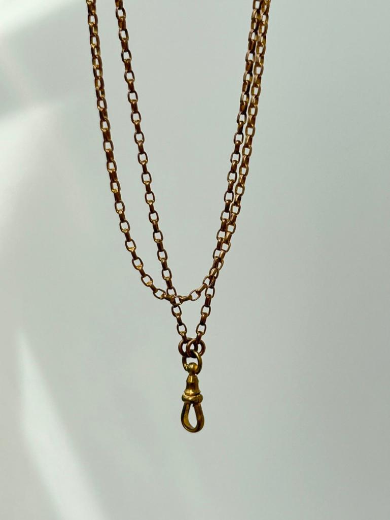 Antique Longguard Chain Necklace with DogClip - Image 5 of 5