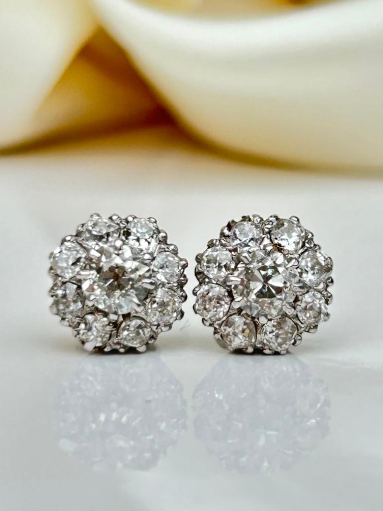 Amazing 2.75ct Diamond Cluster Stud Earrings in White Gold in Box