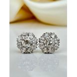 Amazing 2.75ct Diamond Cluster Stud Earrings in White Gold in Box