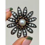 Antique Diamond and Pearl Large Flower Brooch