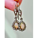 Amazing Opal and Diamond Drop Earrings in White Gold