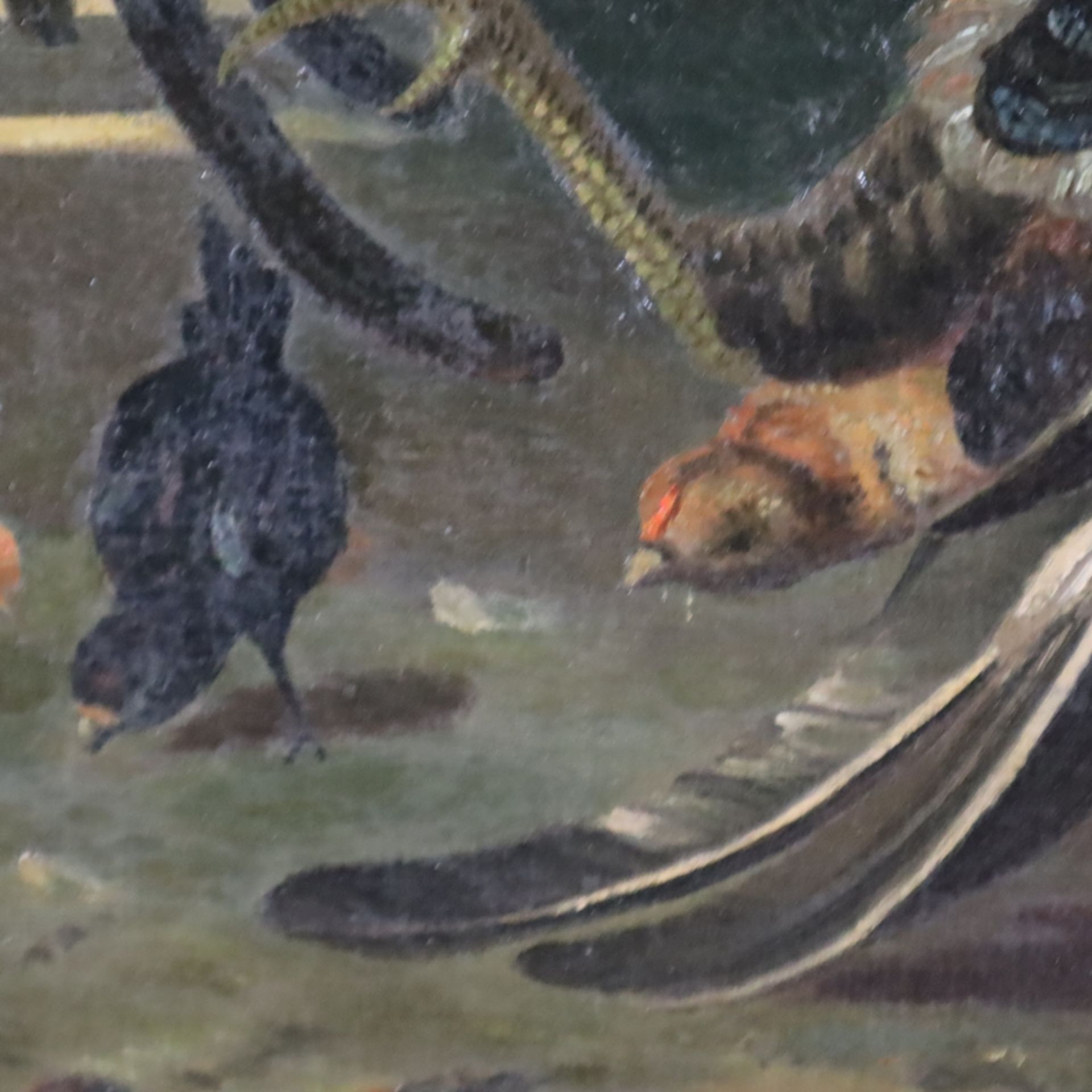 Unbekannte/r Künstler/in -um 1900- Kampf zwischen Hahn und Truthahn, nach dem gleichnamigen Gemälde - Bild 9 aus 13