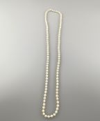 Perlenkette - 20.Jh., ca.104 cremefarbene Zuchtperlen mit teils silbrigem Lüster, unregelmäßig rund