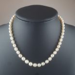 Antike Orientperlenkette - 19. Jh., feine Halskette aus 52 Perlen, im Verlauf angeordnet (Dm. 6 bis
