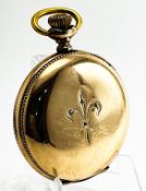 Waltham Gold Filled 14K Diamond Case Ladies Pocket Watch Full Hunter Grade Seaside c.1901