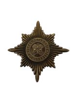 LARGE IRISH GUARDS METAL VALISE BADGE