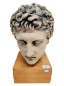 LARGE CLASSICAL BUST