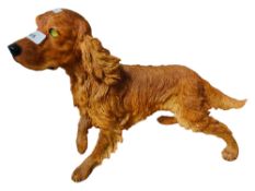 MODEL RED SETTER DOG