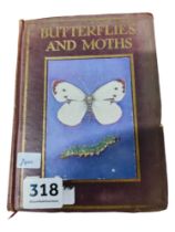 BUTTERFLIES & MOTHS - JANET HARVEY KELMAN & REV THEODORE WOOD